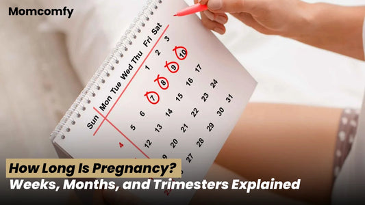 How Long Is Pregnancy